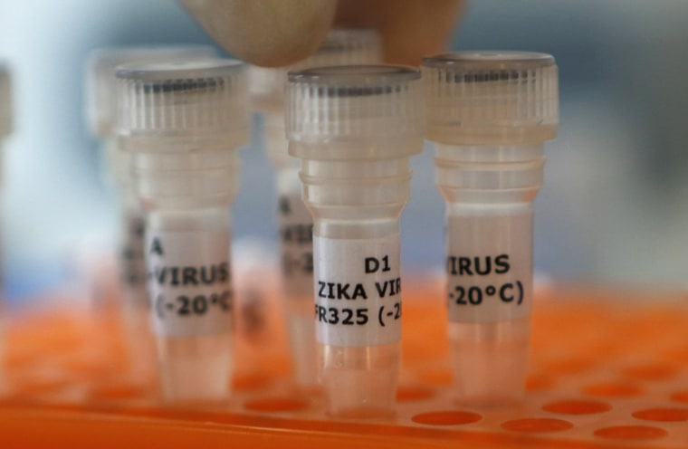 Image: An employee examines tubes with the label 'Zika virus' at Genekam Biotechnology AG in Duisburg