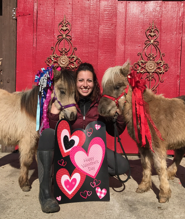 Miniature therapy horses in their special Valentine's Day outfits.