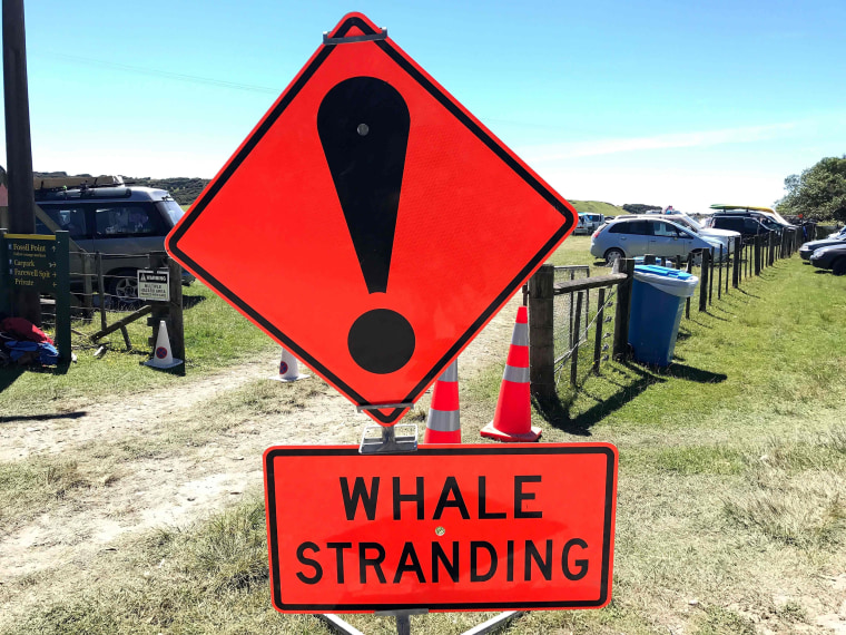 Image: This picture taken on February 11, 2017 shows a whale stranding sign in New Zealand.