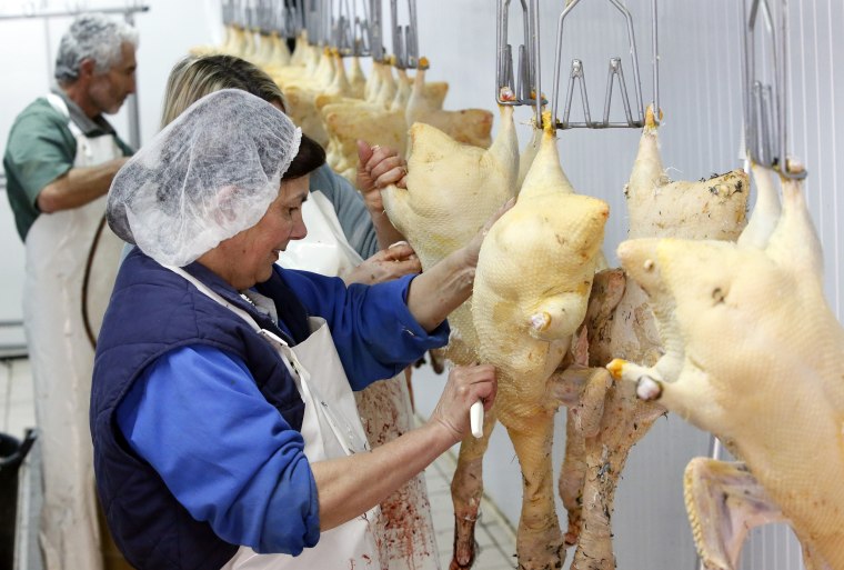 Image: A foie gras producer prepares ducks in her laboratory in La Bastide Clairence