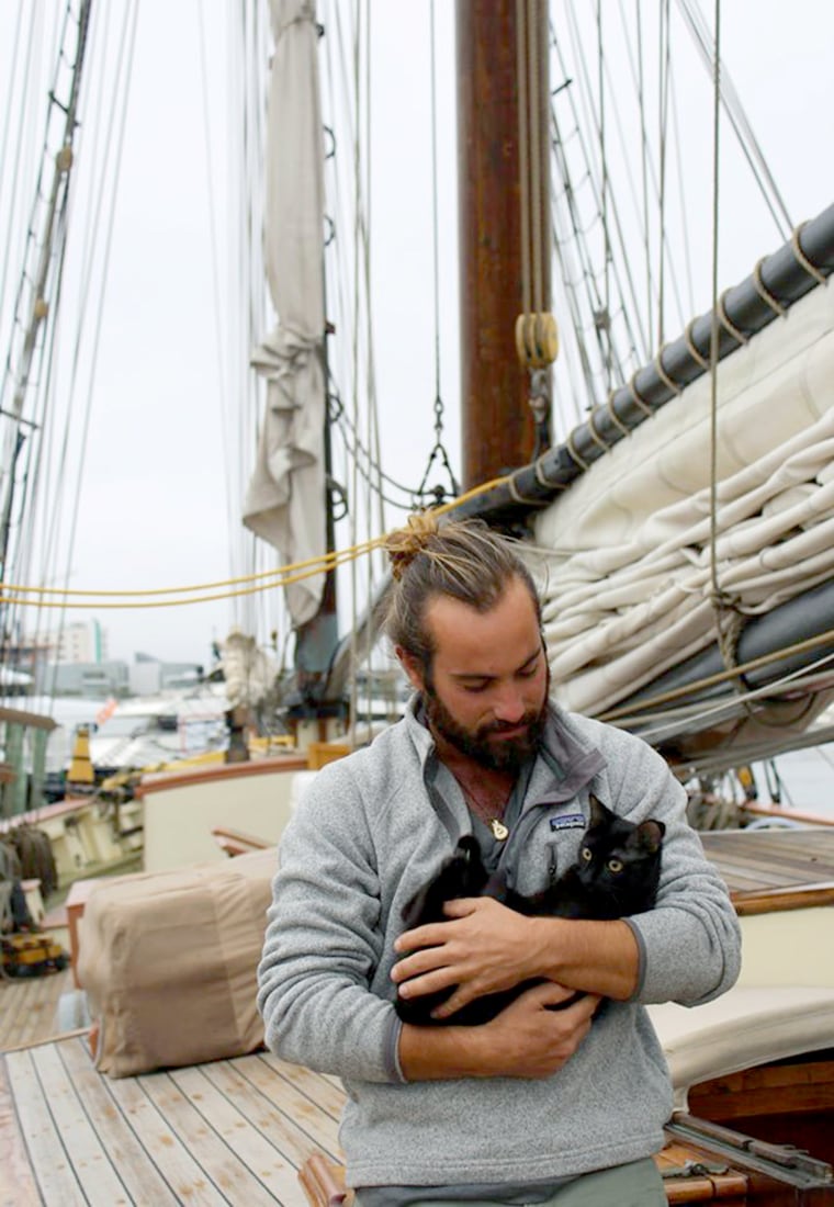Stray cat finds home on ship