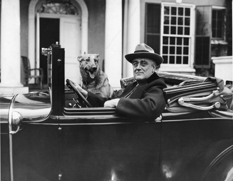 Image: FDR Behind The Wheel with his dog