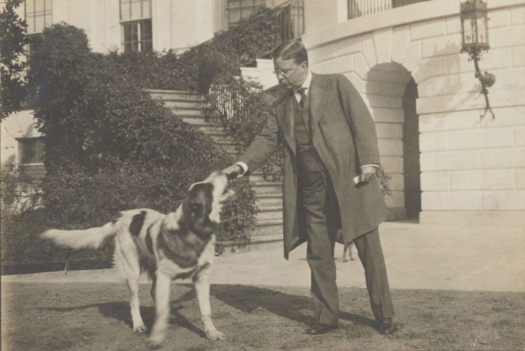Image: Theodore Roosevelt and Rollo, his Saint Bernard, with the White House in the background, Washington (D.C.)