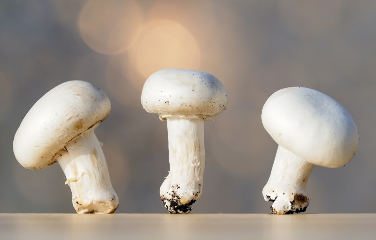 Small group of mushrooms on an wood table top