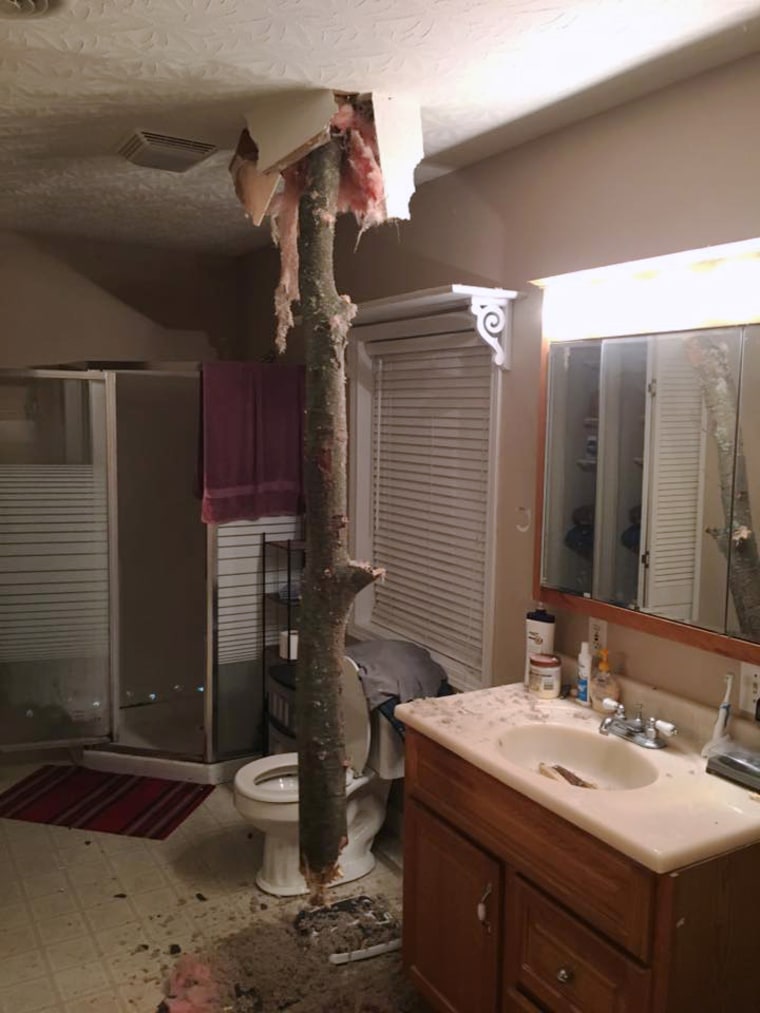 Image: Raymond Bowling