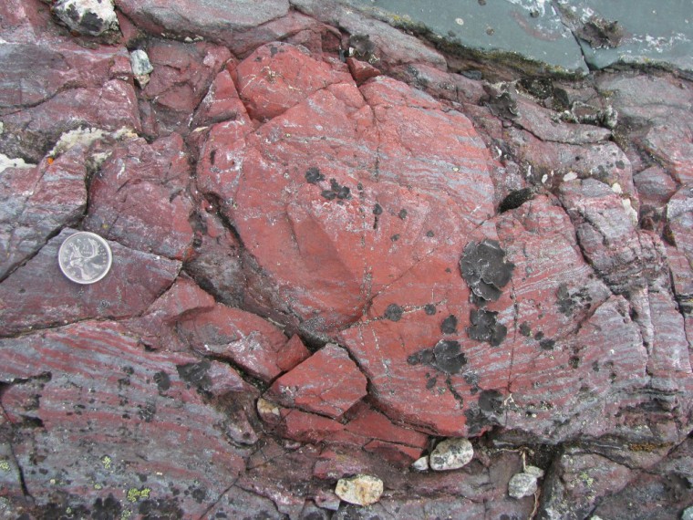 Image: Layer-deflecting bright red concretion of haematitic chert