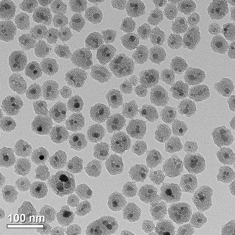A transmission electron microscopy (TEM) image shows the iron oxide nanoparticles coated in a mesoporous silica that are used in the tissue warming process.