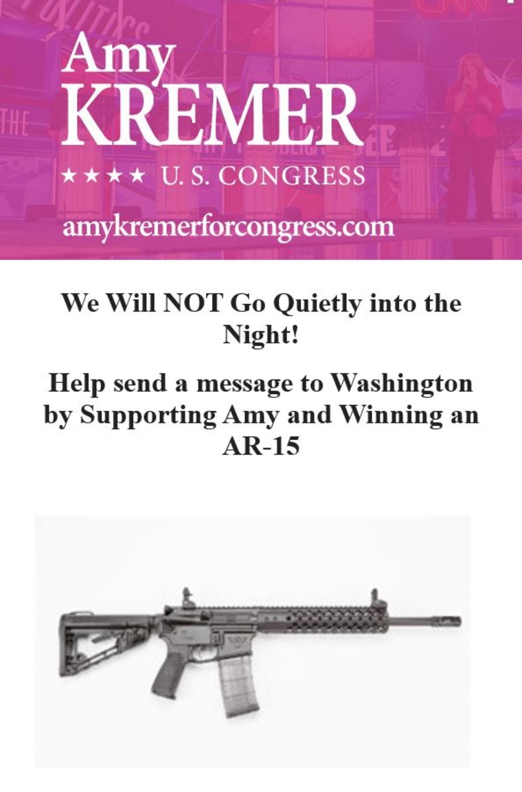 Image: An email sent by Amy Kremer for Congress 