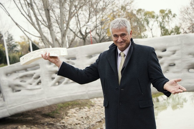 Enrico Dini standing in front of a 3-D printed bridge in the Castilla-La Mancha park in Alcobendas, north of Madrid.