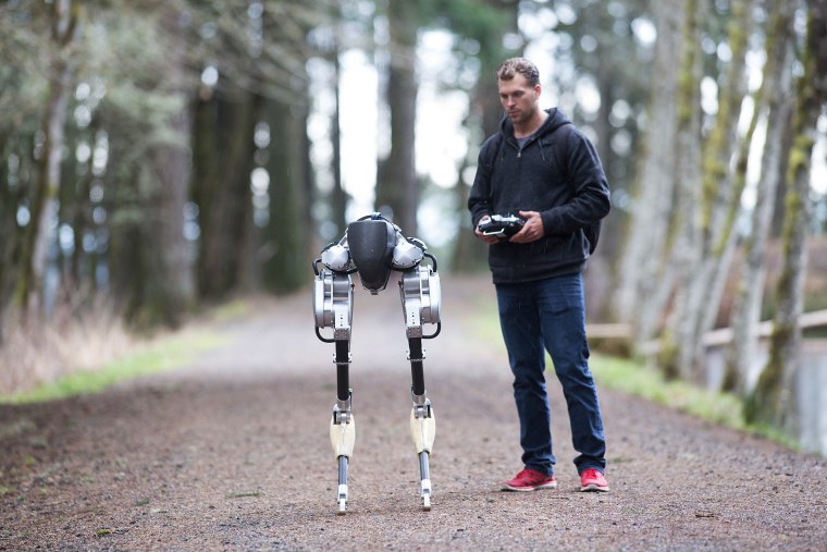 Humanoid robots are here, but they're a little awkward. Do we need