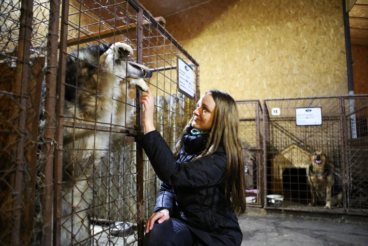Image: Rasma Zaharenko at Rezekne's dog shelter