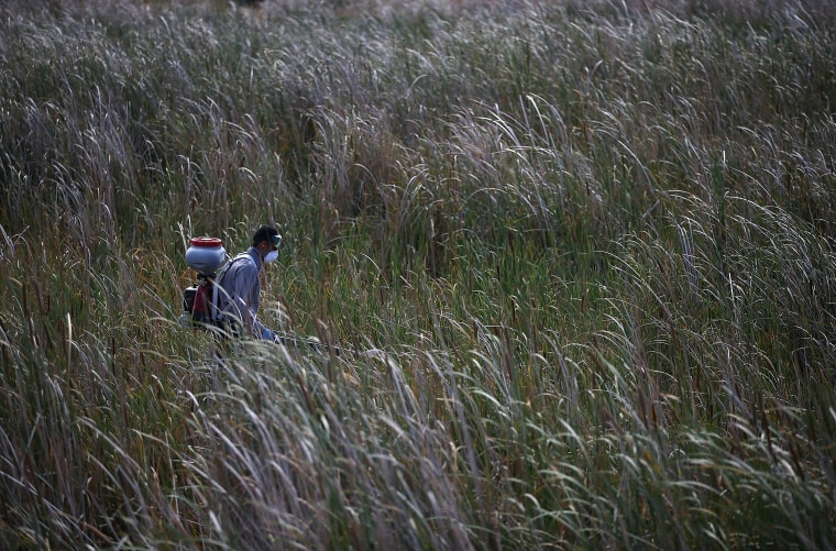 California Health Officials Warn Of Increase West Nile Activity This Season As Drought And Heat Could Spread Disease