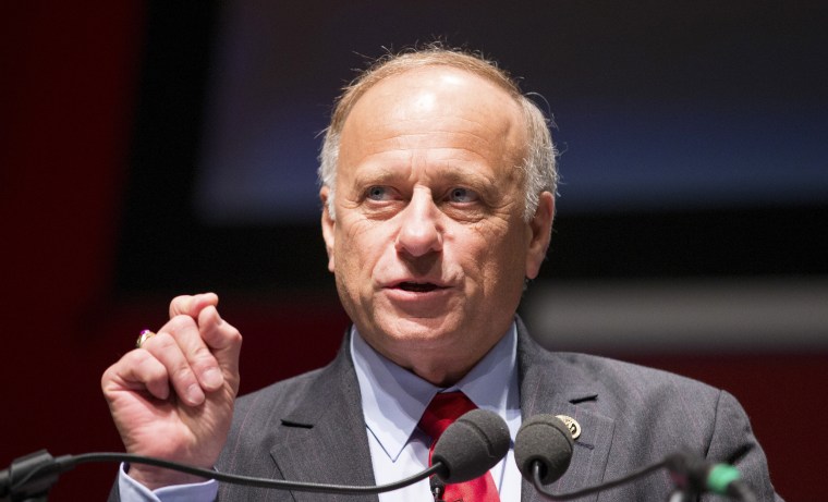 Image: Representative Steve King speaks during the Freedom Summit in Greenville