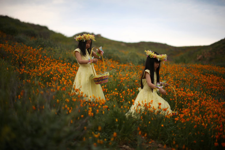 Image: Julia Lu, 5, and Amy Liu, 5, walk through a massive spring wildflower bloom caused by a wet winter in Lake Elsinore