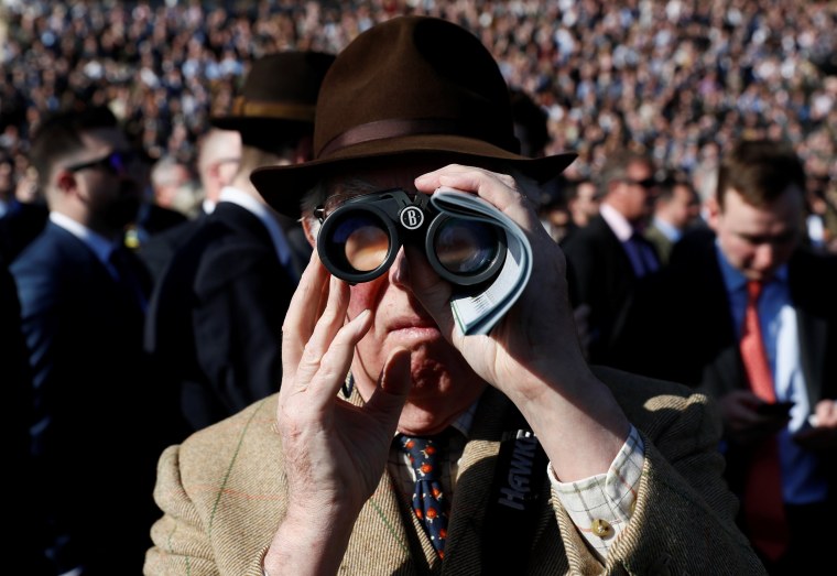 Image: Racegoer watches during the 1.30 Neptune Investment Management Novices' Hurdle at Cheltenham Festival
