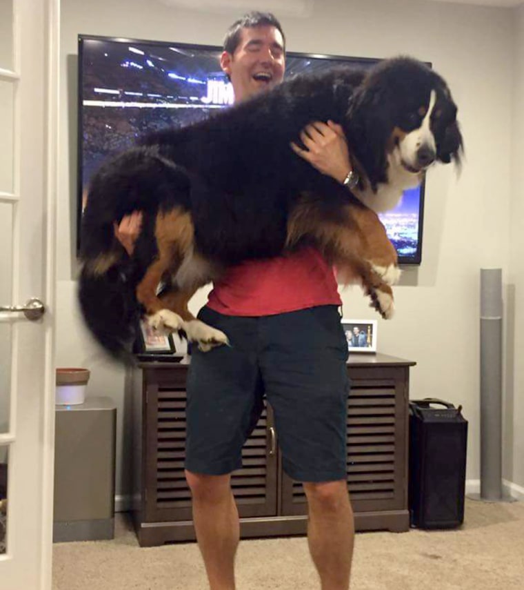 Christopher Vrankovic picks up Lucy the dog