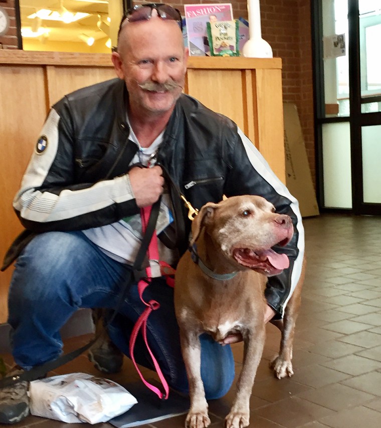 18-year-old Julep the dog found a new home