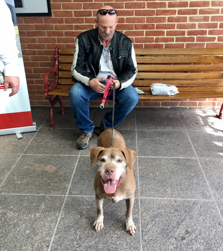 18-year-old Julep the dog finds a new home