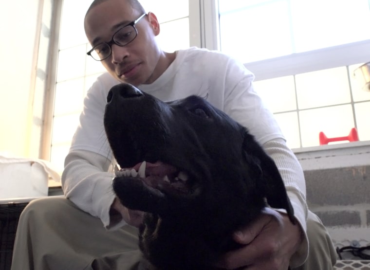 America's Vet Dogs Prison dogs at Enfield