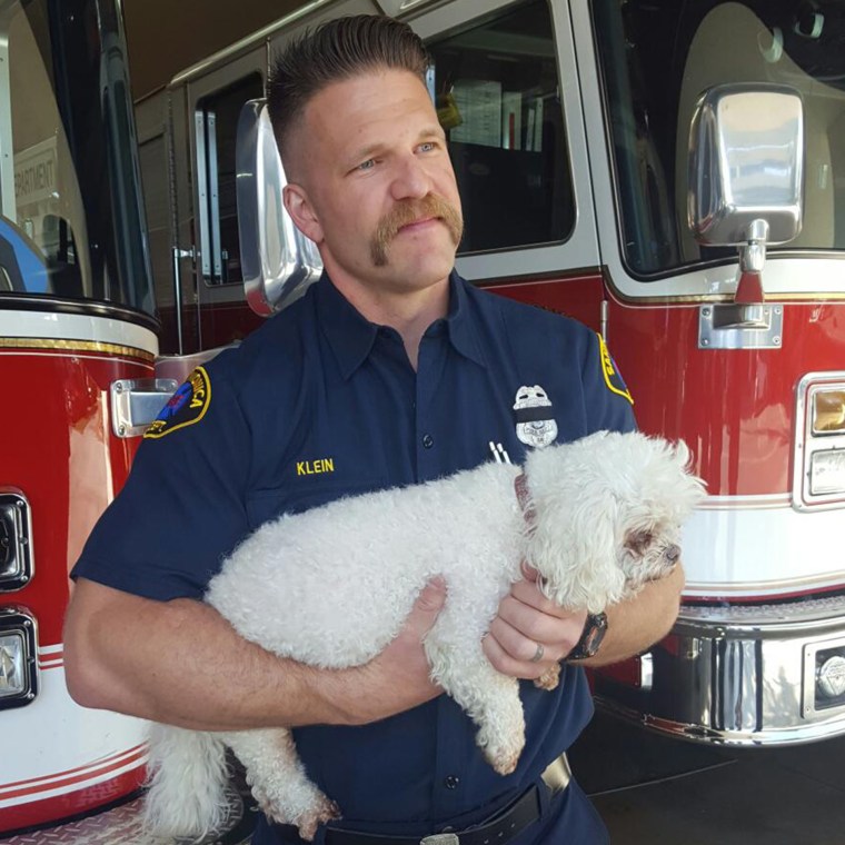 Fireman Andrew Klein holds Nalu the dog after recovery
