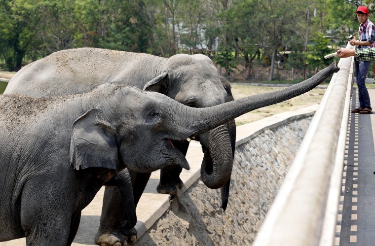 Image: Zoological gardens in Naypyitaw