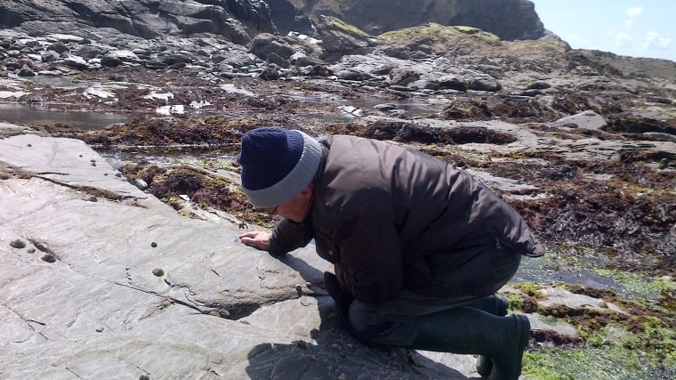 Image: Richard Pearce counts limpets 