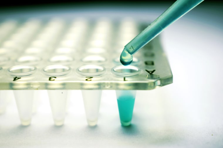 Image: Stem cell research pipette
