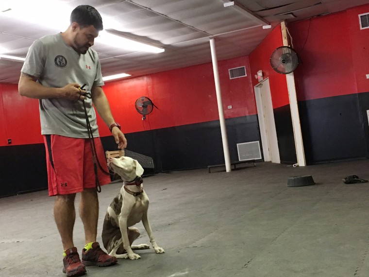 Ruby with her trainer, Rick Carde.