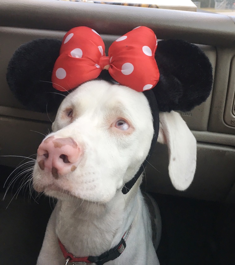 Ruby is cute in her Minnie Mouse hat.