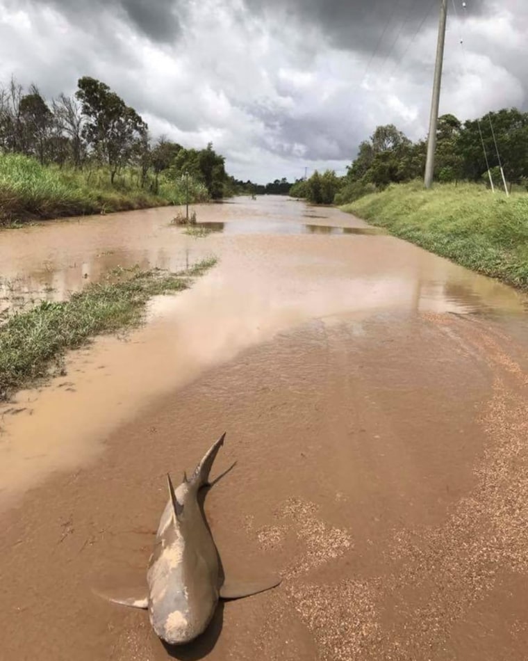 Image: Rain depression causes floods after Cyclone Debbie