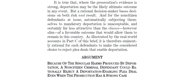 An excerpt of an amicus brief by Asian Americans Advancing Justice|AAJC