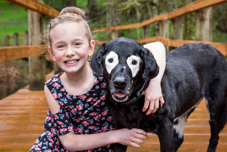 Dog with vitiligo meets kids with the condition