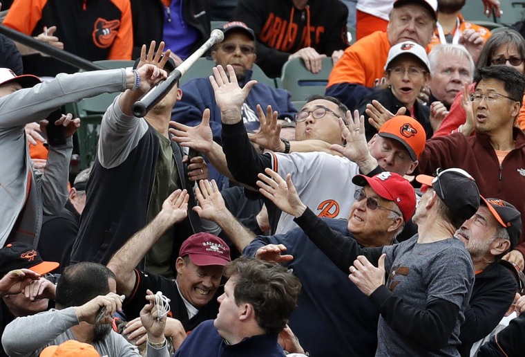 Image: Fans react as a bat flies into the stands