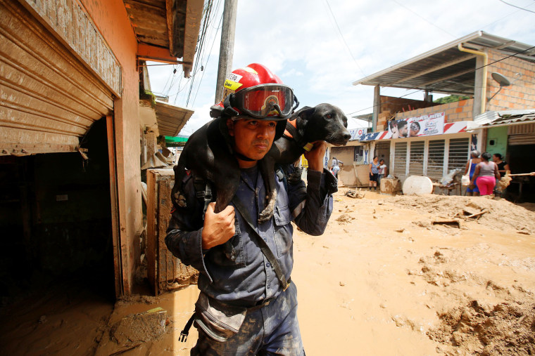 Image: A rescuer carries his dog on a street destroyed after flooding and mudslides caused by heavy rains leading several rivers to overflow, pushing sediment and rocks into buildings and roads, in Mocoa