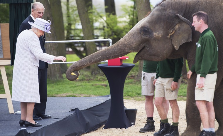 Queen Elizabeth II and Prince Philip feed an elephant