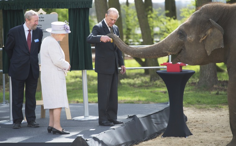 Queen Elizabeth II and Prince Philip feed an elephant