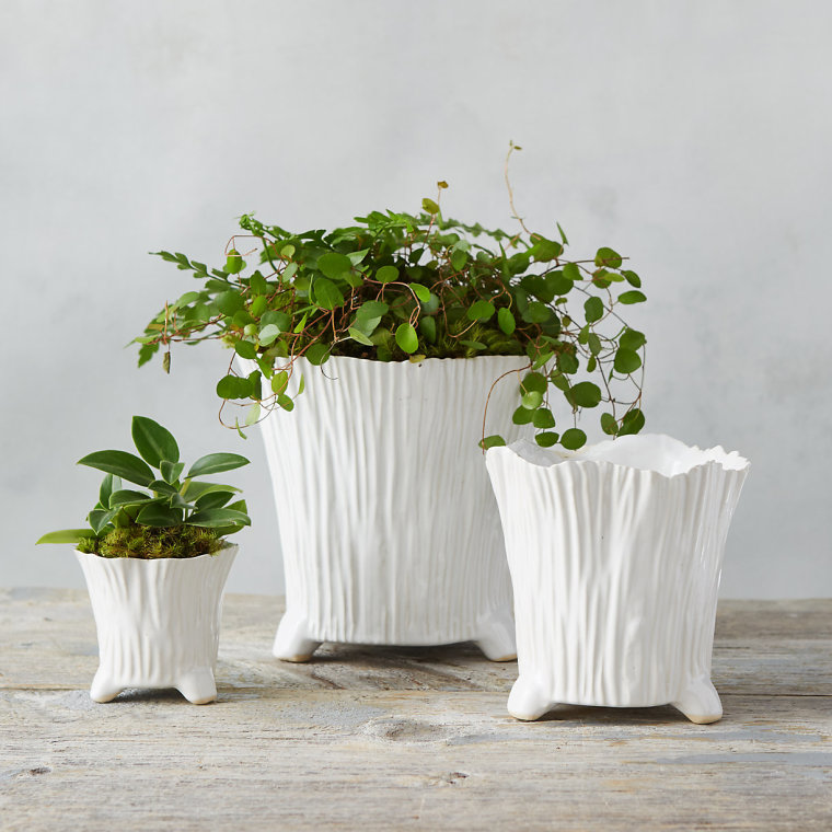 Best Decorative Flower Pots and Planters to Buy Now