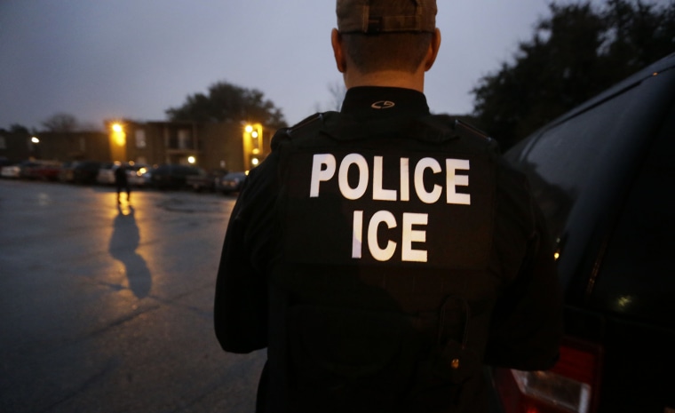 Image: U.S. Immigration and Customs Enforcement agents are pictured.