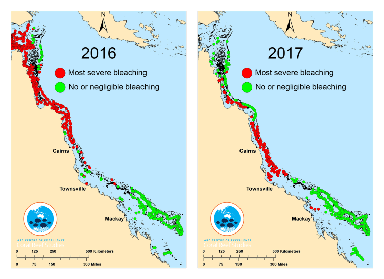 Image: Maps showing the damage to Australia's Great Barrier Reef in 2016 and 2017
