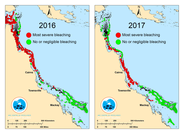 Bleaching fears along the Great Barrier Reef