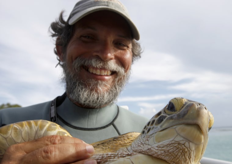 Carlos Diez catches a critically endangered hawksbill turtle to gather data for its conservation.