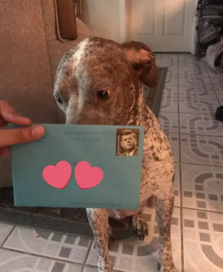 Woman's ex sends their dog birthday cards