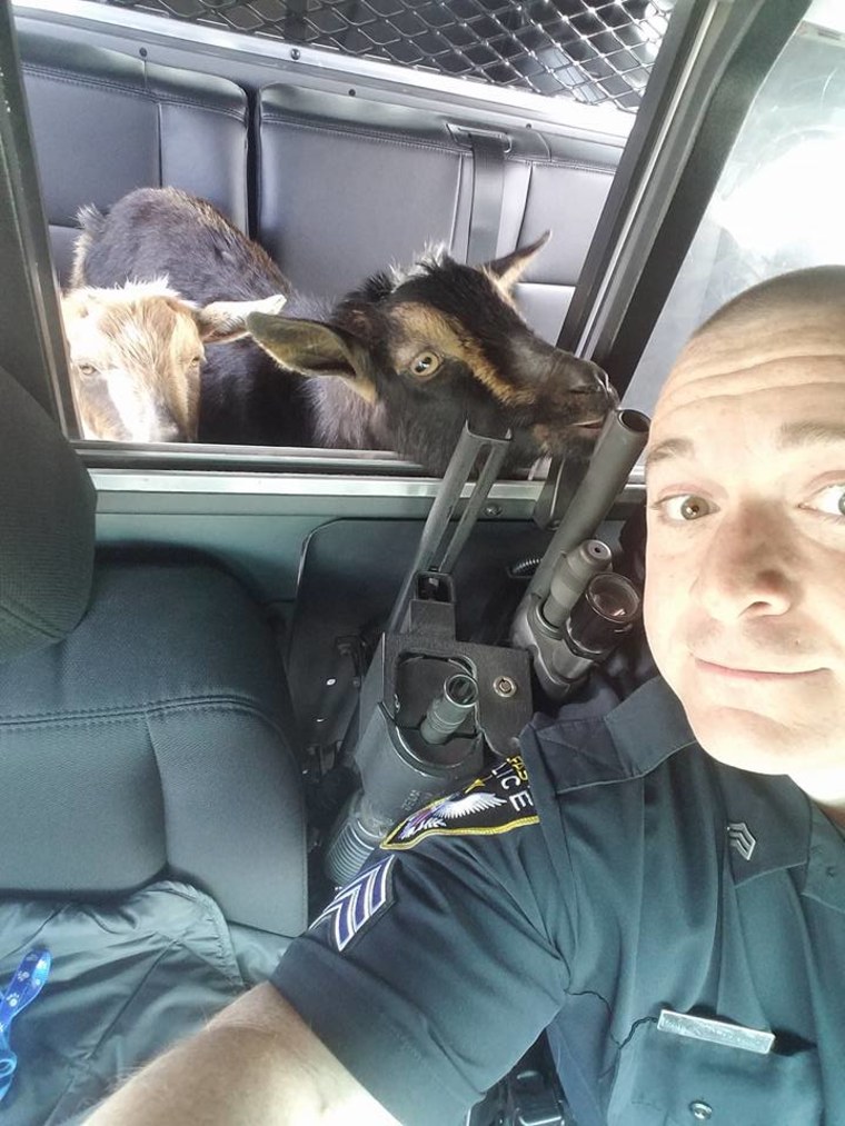 Sergeant Fitzpatrick made sure to snap a selfie with his new buddies.
