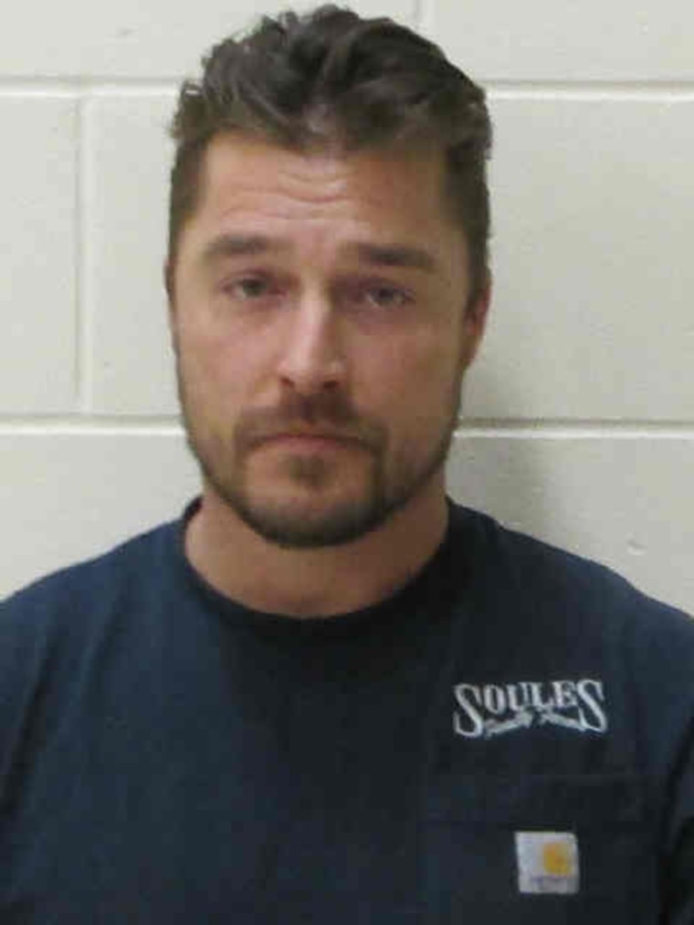 Chris Soules, mugshot