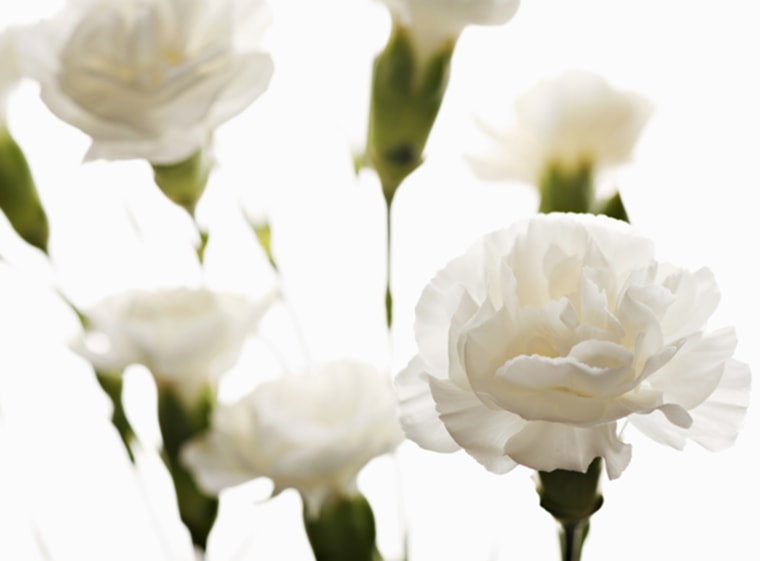 White carnations