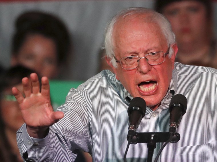 Image: Bernie Sanders addresses supporters at a Democratic unity rally.