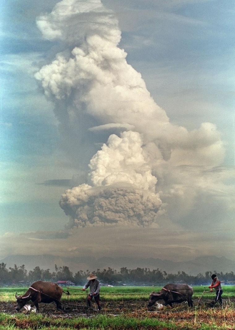 Farmers plow their fields on July 8, 1991 as Mount Pinatubo erupts in the background.