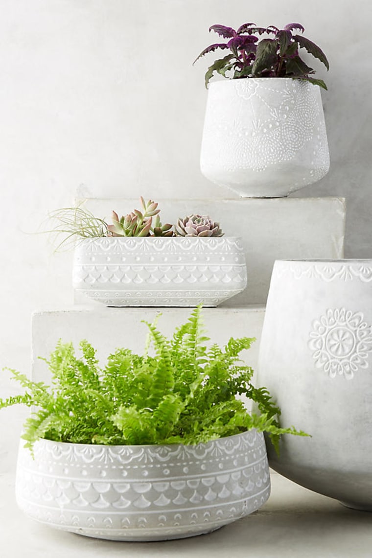 Best Decorative Flower Pots and Planters to Buy Now