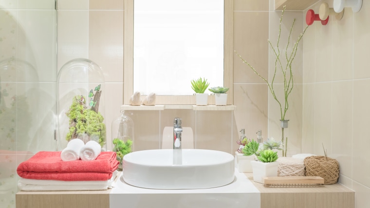 Plants that thrive in bathrooms and showers