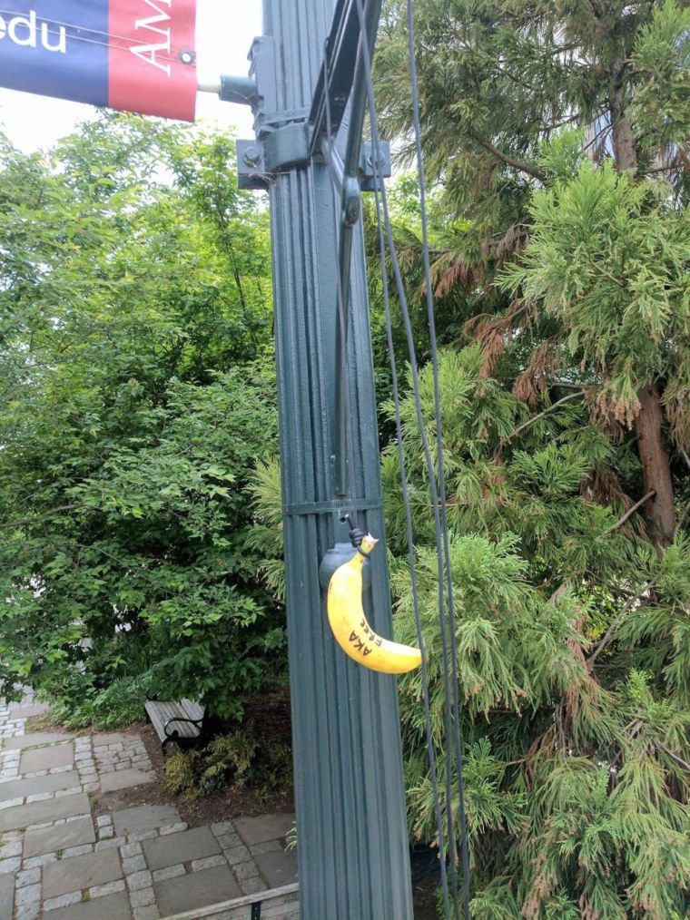 Image: Racist Banana Found Outside the Hurst building at American University